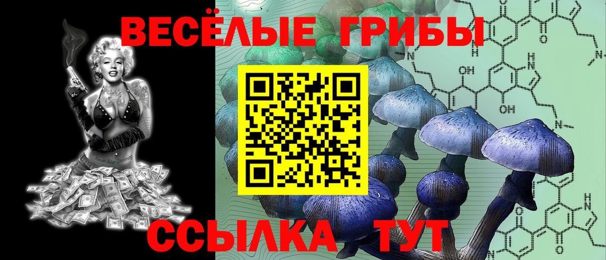 Псилоцибиновые грибы Psilocybe  Вход с VPN  Рубцовск 